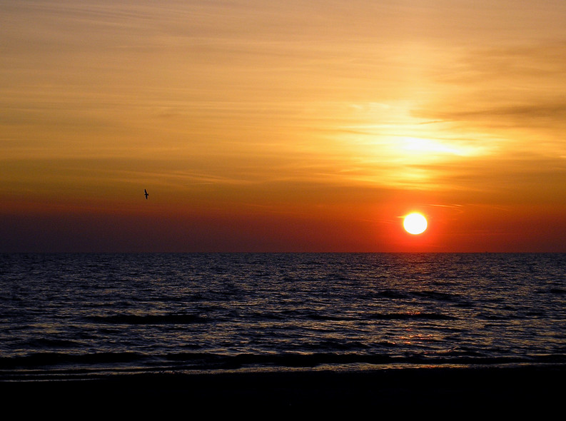 Morza szum, ptaków śpiew