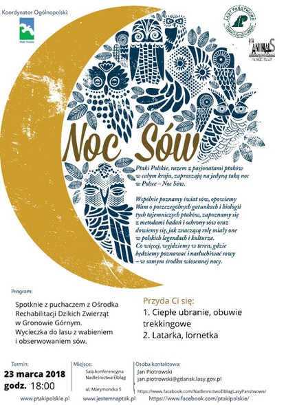 Elbląg, Co robią sowy nocą?