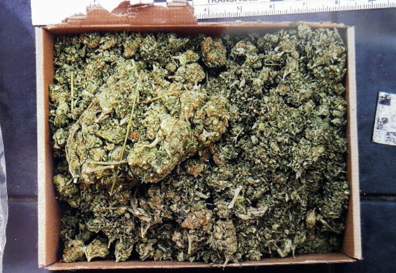 Elbląg, W mieszkaniu 22-latki policjanci znaleźli narkotyki