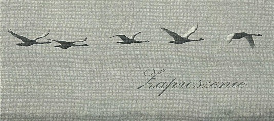 Elbląg, Fotografie Ireny Bykowskej w Galerii Na Wyspie