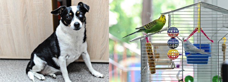 Elbląg, Po lewej Maja, po prawej Filip