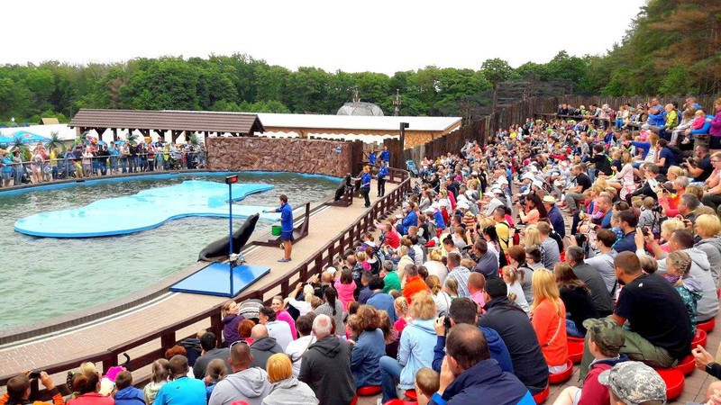 Sea Park Sarbsk: oni wygrali zaproszenie