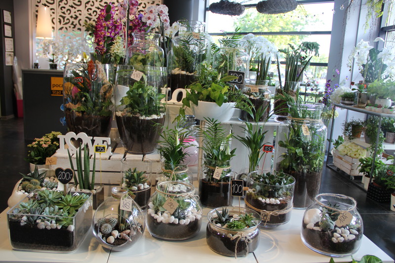 Dzień Matki w Kwiaciarni Romantycznej