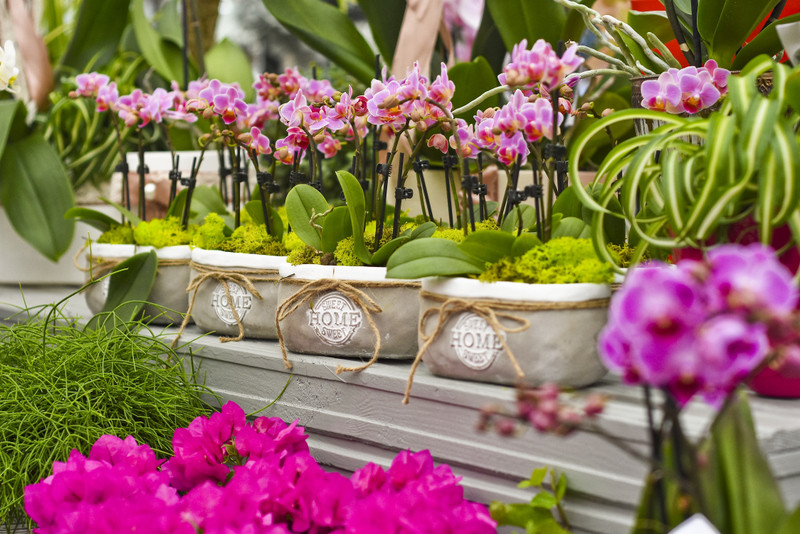 Wybierz naturalne piękno