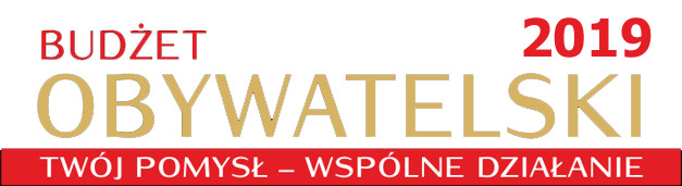 Elbląg, Budżet Obywatelski 2019. Co za nami? Co przed nami? Elbląg, Budżet Obywatelski 2019. Co za nami? Co przed nami?