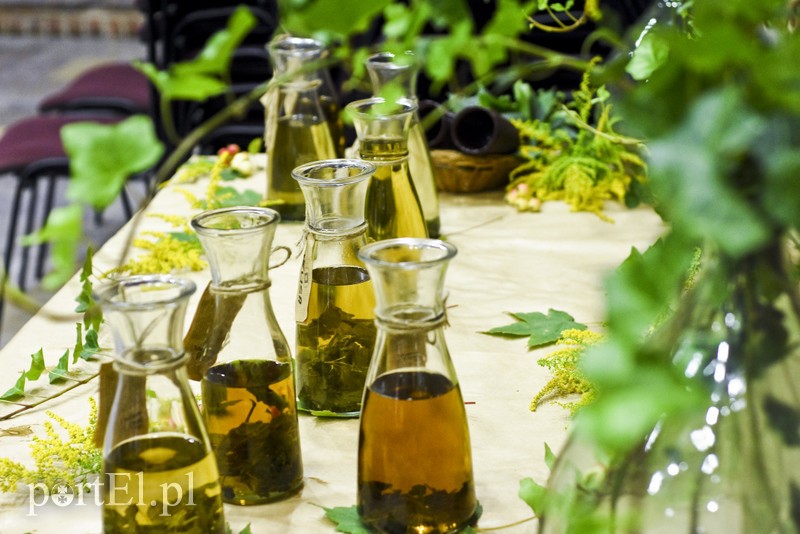 Elbląg, Co wiemy o herbacie? Elbląg, Co wiemy o herbacie?