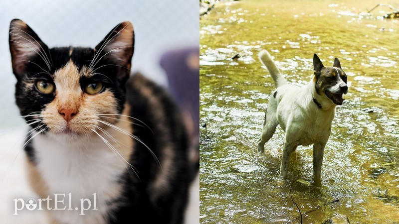 Elbląg, Juśka (po lewej) i Orest