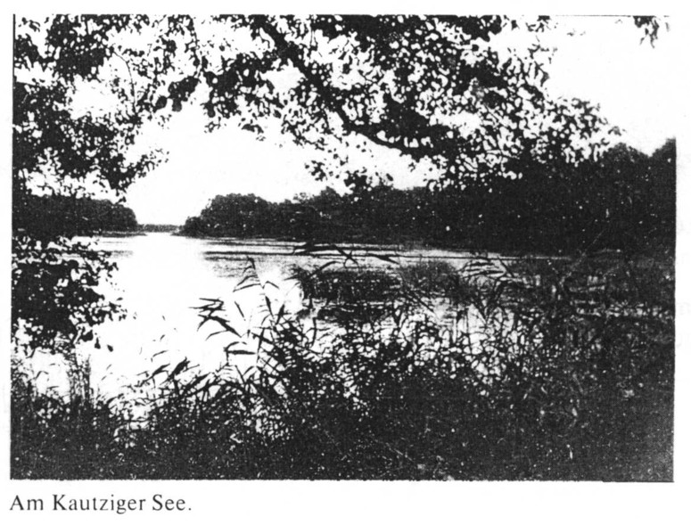 Elbląg, Widok na jezioro Kucki (arch. własne) Elbląg, Widok na jezioro Kucki (arch. własne)