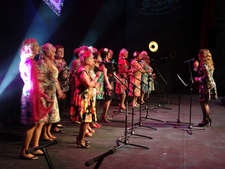 Elbląg, Każdy senior może być artystą