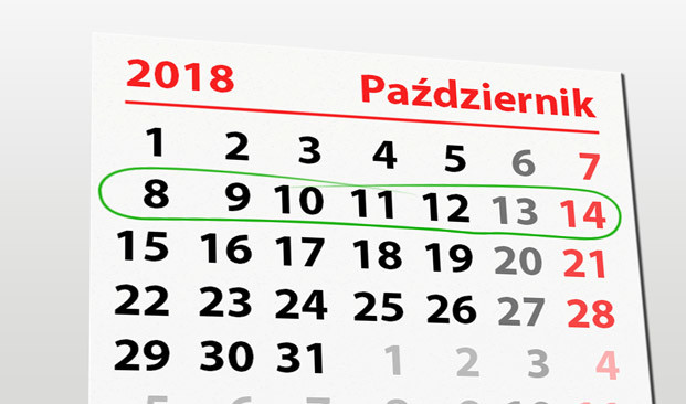 Elbląg, W tym tygodniu portEl poleca: Baltic Cup i Święto Wiatru