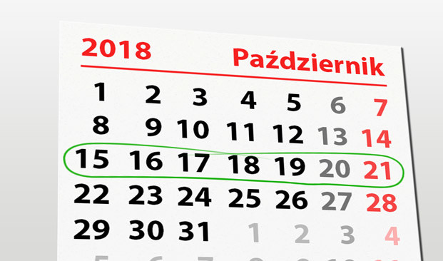 Elbląg, W tym tygodniu portEl poleca: wybory, dzień papieski i koncert EOK
