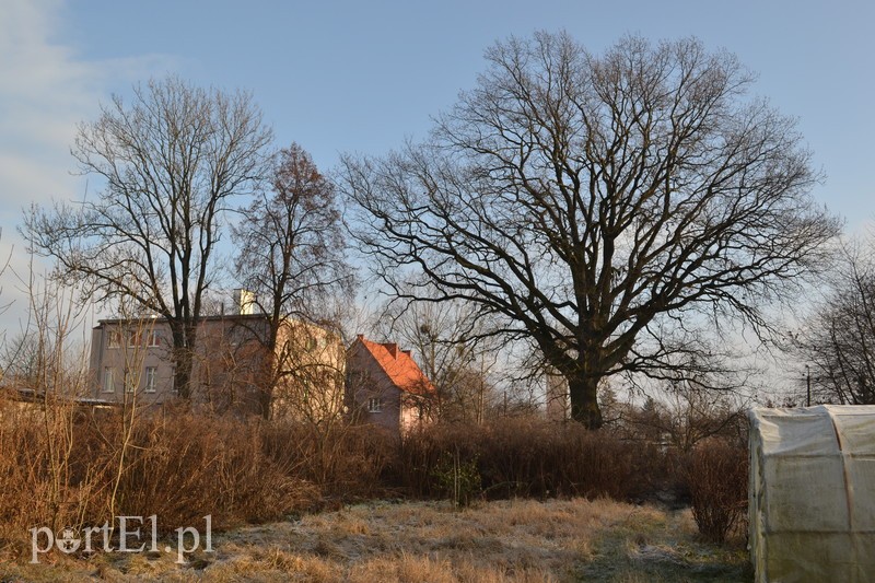 Elbląg, D Elbląg, D