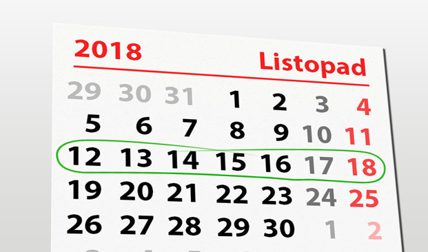 Elbląg, W tym tygodniu portEl poleca: charytatywny turniej siatkówki i bieg na orientację