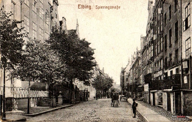 Elbląg, Dawno temu w Elblągu... elblążanin posiadał okazałą gęś Elbląg, Dawno temu w Elblągu... elblążanin posiadał okazałą gęś