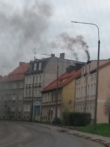 Elbląg, Happpening w sprawie ochrony klimatu