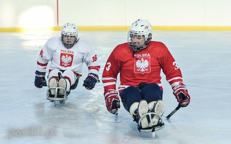 Elbląg, W pierwszym meczu pierwsza reprezentacja Polski zmierzyła się z drugim zepołem Polski (foto Anna Dembińska) Elbląg, W pierwszym meczu pierwsza reprezentacja Polski zmierzyła się z drugim zepołem Polski (foto Anna Dembińska)
