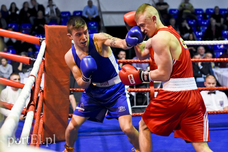 Elbląg, Na Mikołajkowym Turnieju Bokserskim walczyli pięściarze KSW Tygrys Elbląg, Na Mikołajkowym Turnieju Bokserskim walczyli pięściarze KSW Tygrys