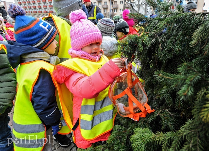 Elbląg, Dzieci z elbląskich przedszkoli wykonały "ozdoby", które posłużą ptakom w tym trudniejszym okresie Elbląg, Dzieci z elbląskich przedszkoli wykonały "ozdoby", które posłużą ptakom w tym trudniejszym okresie