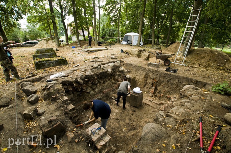 Elbląg, Badania w Nowym Monasterzysku stały się podstawą gry