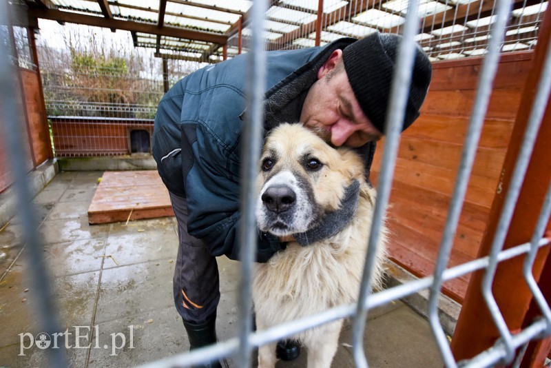 Elbląg, Opieka nad zwierzętami to coś więcej niż wymiana karmy, wody czy uprzątnięcie nieczystości Elbląg, Opieka nad zwierzętami to coś więcej niż wymiana karmy, wody czy uprzątnięcie nieczystości