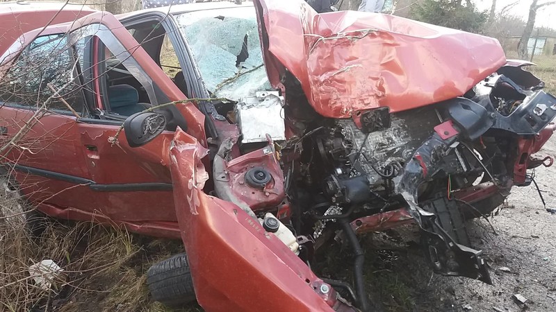 Elbląg, Uderzył w drzewo, nic mu się nie stało Elbląg, Uderzył w drzewo, nic mu się nie stało