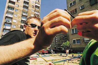 Elbląg, POLECAMY: Że życie ma sens