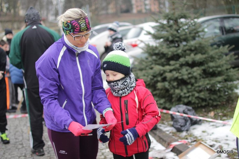 Elbląg, Orientacja po parku Modrzewie