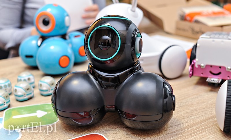 Elbląg, Cue wystarczy zaprogramować?