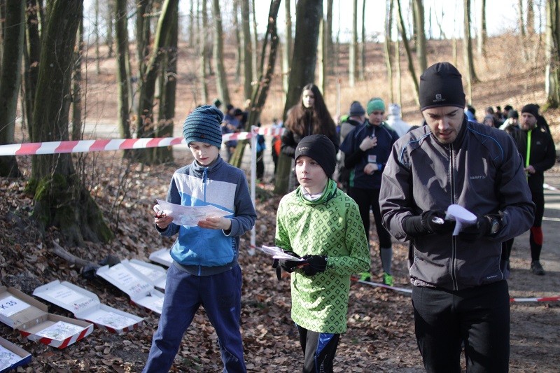Elbląg, Orientacja po Bażantarni