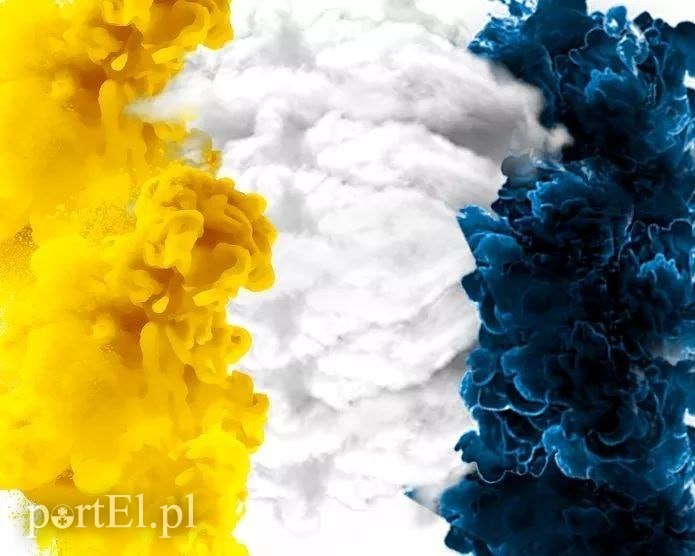 Elbląg, Młodzik Olimpii w formie