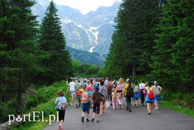 Elbląg, Ściąga portElu. Kolonie i półkolonie 2019