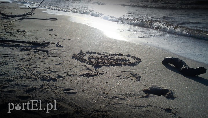 Elbląg, Czas na quiz: wakacyjne klimaty