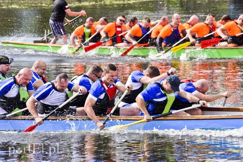 Elbląg, VI Wyścigi Smoczych Łodzi na rzece Elbląg już w sierpniu