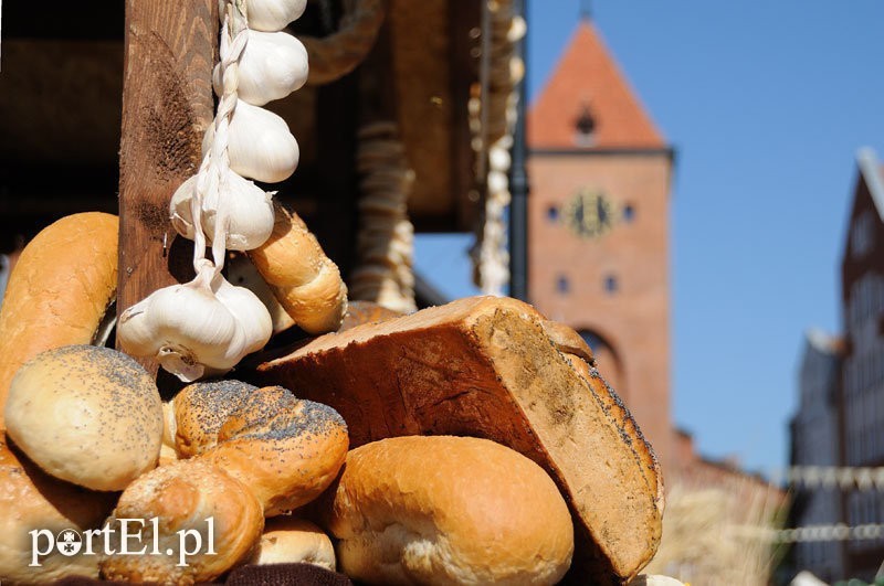 Elbląg, Elbląskie Święto Chleba tuż, tuż
