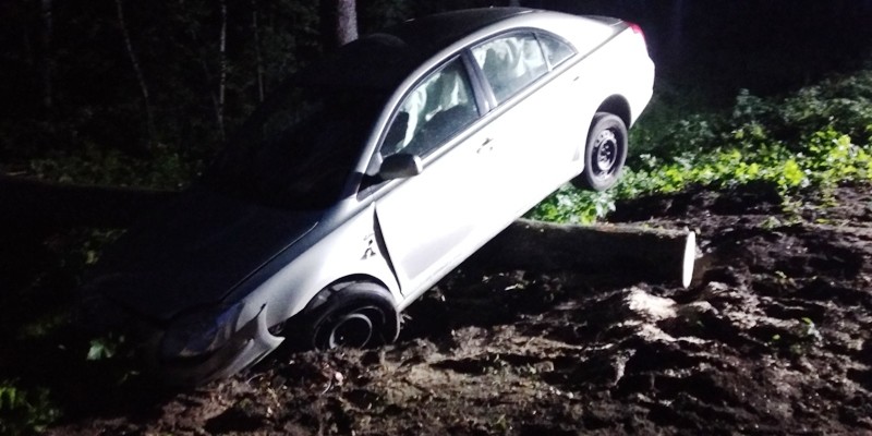 Elbląg, Toyotą najechał na drzewo