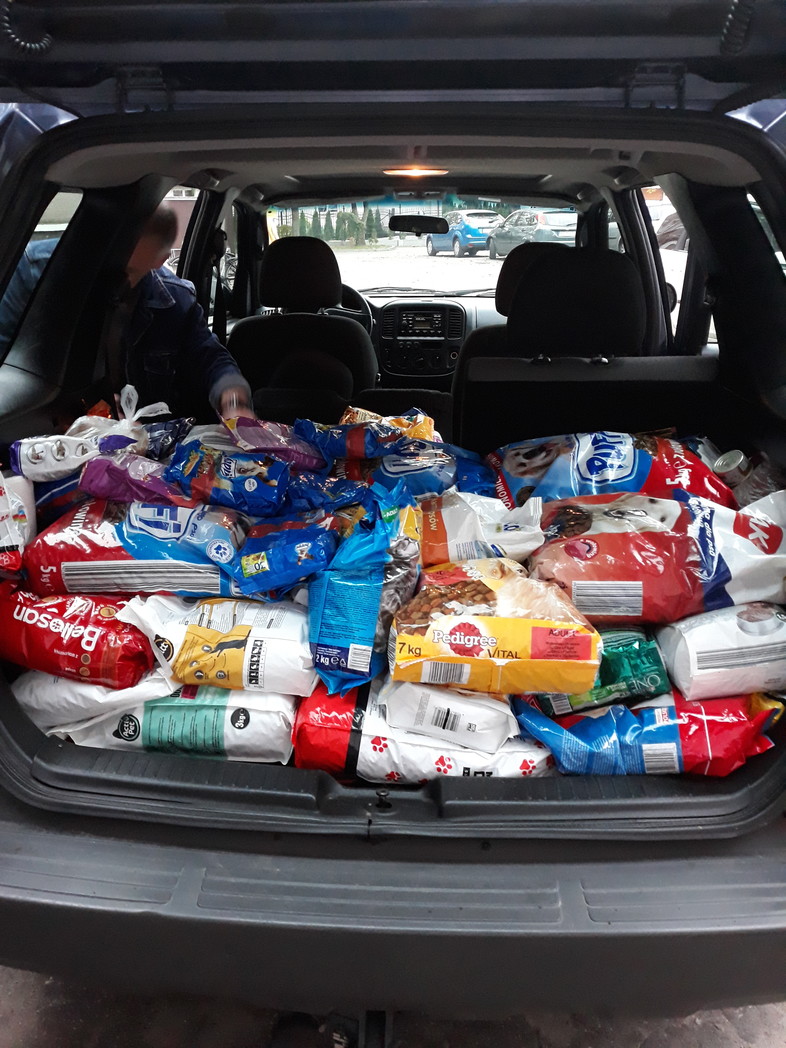 Elbląg, Dzieciaki pomagają kociakom i psiakom