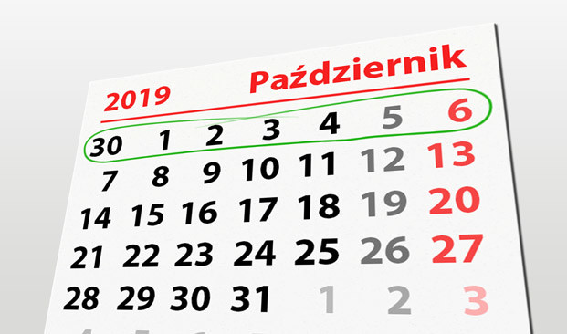 Elbląg, W tym tygodniu portEl poleca: Ptasi piknik i plaszówkowe rozgrywki
