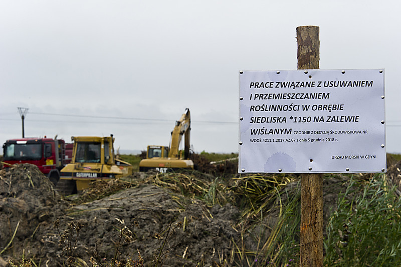Elbląg, We wrześniu na zlecenie Urzędu Morskiego w miejscu przekopu od strony Zalewu Wiślanego rozpoczęto przenoszenie trzcinowisk