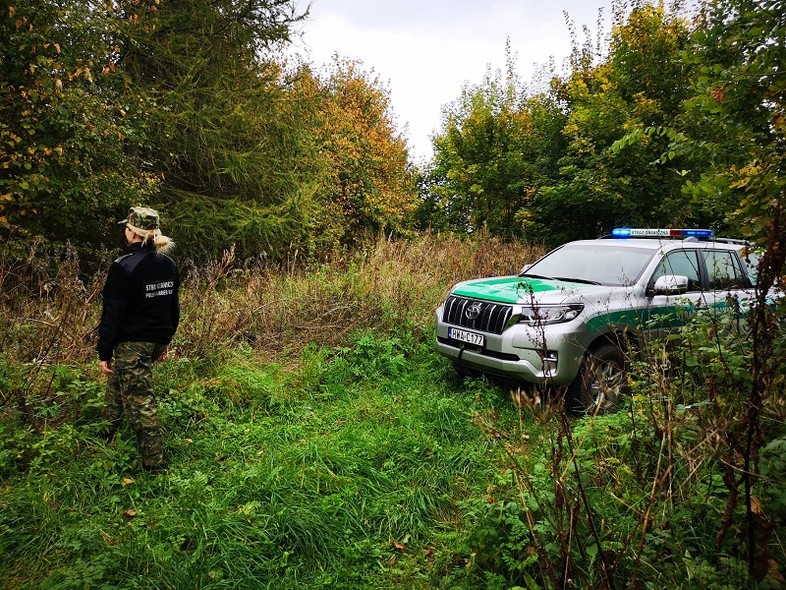Elbląg, Zgubił się podczas grzybobrania