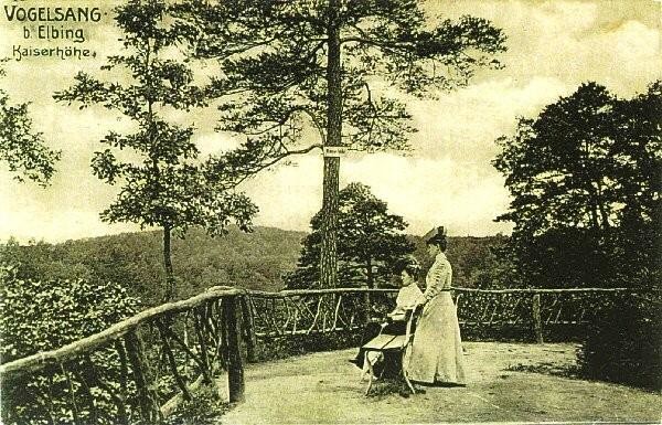 Elbląg, Vogelsang, czyli Bażantarnia Elbląg, Vogelsang, czyli Bażantarnia