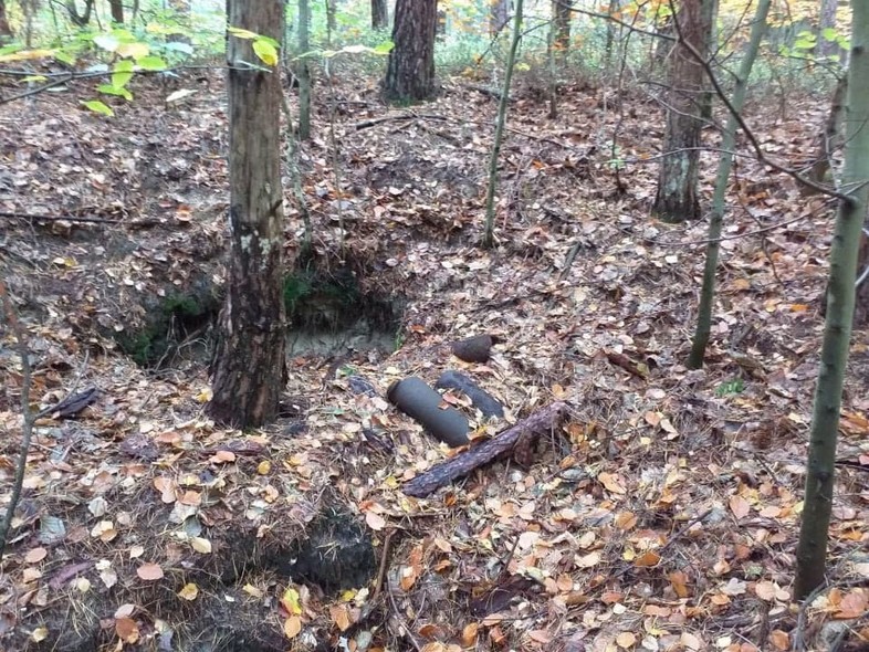 Elbląg, Leśnicy znaleźli niewybuchy