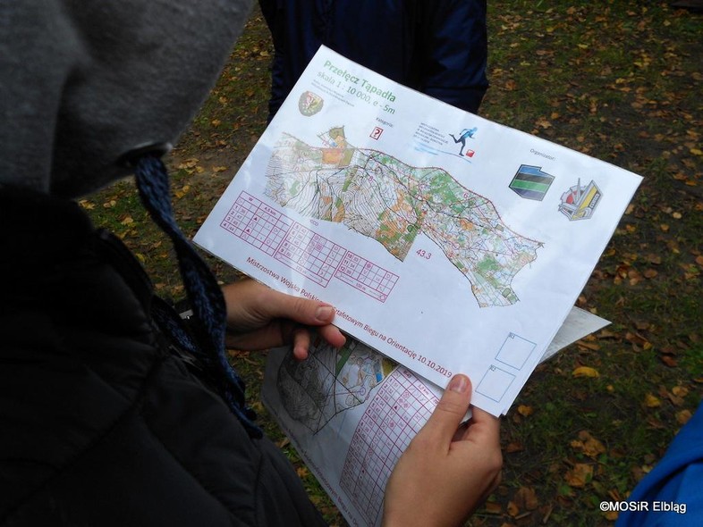 Elbląg, XI sezon Grand Prix w Biegach na Orientację