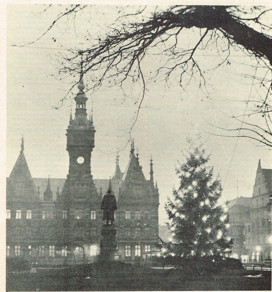 Elbląg, Choinka na placu Fryderyka Wilhelma, źródło Elblinger Nachrichten