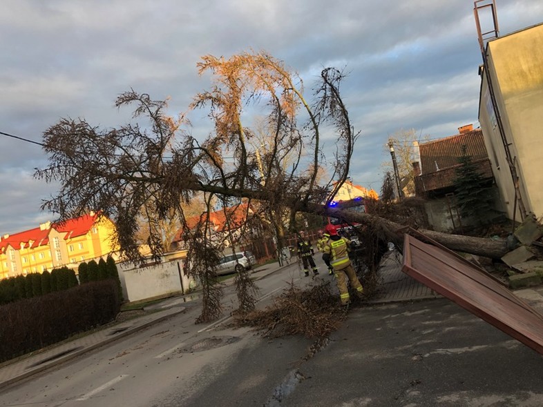 Elbląg, Silny wiatr i działania braniewskich strażaków Elbląg, Silny wiatr i działania braniewskich strażaków