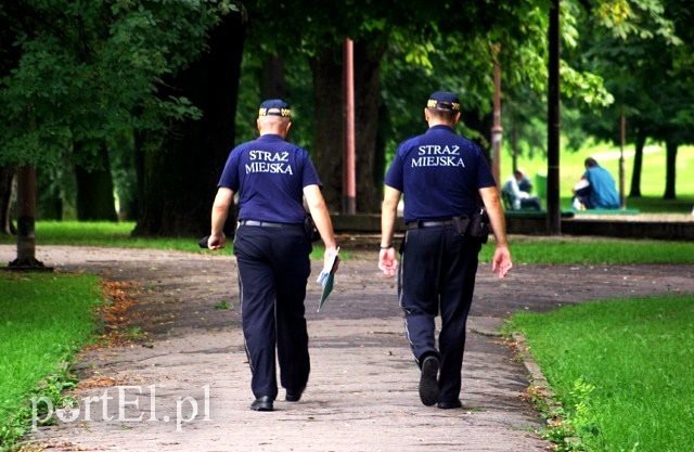 Elbląg, Straż Miejska szuka młodzieży