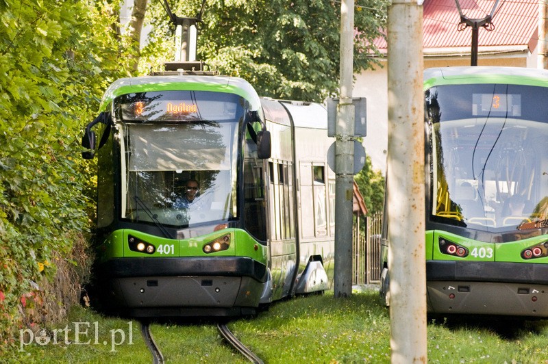 Elbląg, Świąteczny rozkład jazdy Elbląg, Świąteczny rozkład jazdy