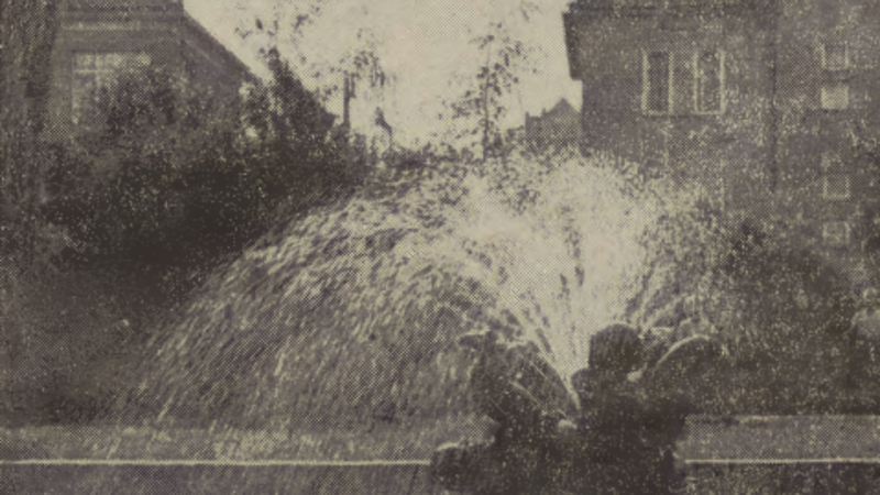 Elbląg, Dawno temu w Elblągu... elblążanie odwiedzali parki Elbląg, Dawno temu w Elblągu... elblążanie odwiedzali parki