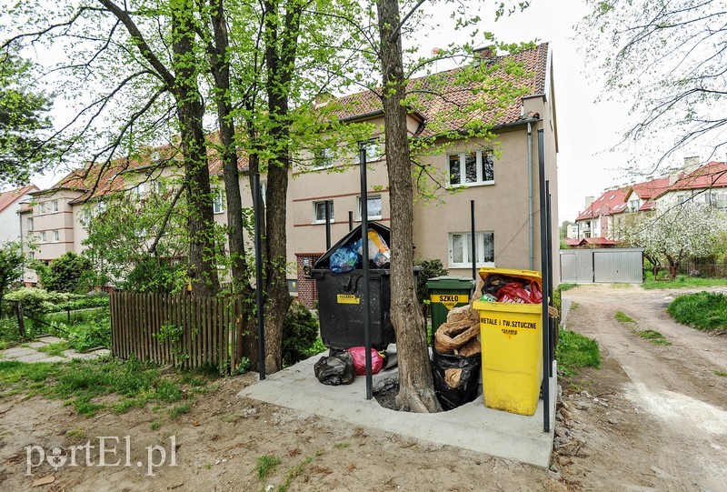 Elbląg, Śmietnik z drzewem w środku