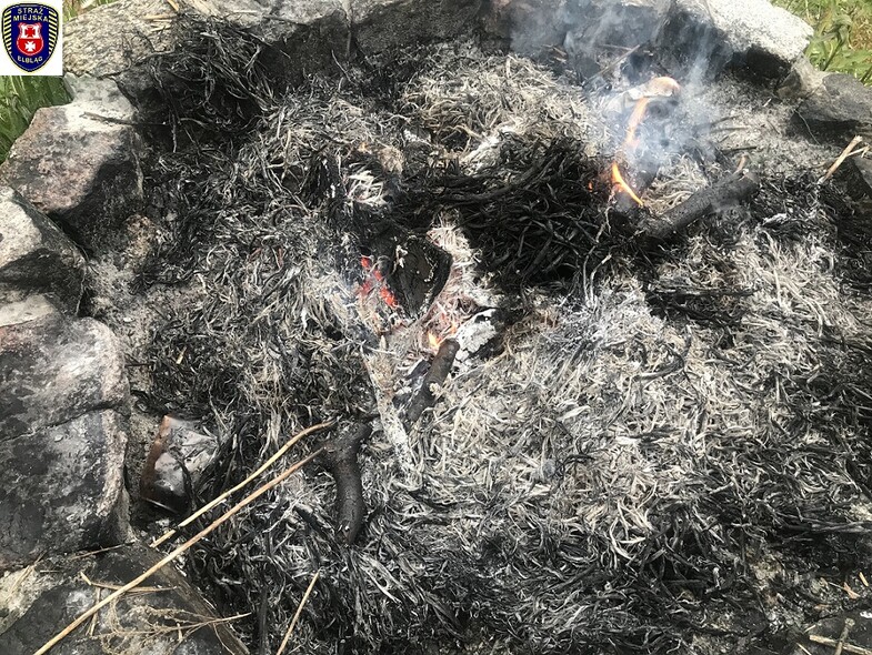 Elbląg, Dwa tysiące grzywny za spalanie odpadów