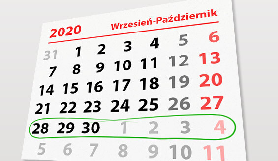 Elbląg, W tym tygodniu portEl poleca: koncert Basi Kawy i Ptasi Piknik